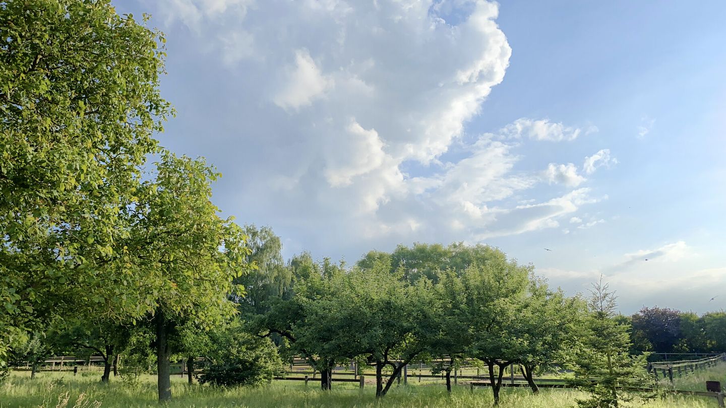 Blick über die Weiden bei bewölktem Himmel
